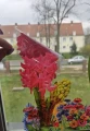 20240404_123134.jpeg
